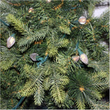 C7 Light Set with Green Wire - Warm White, 50 LEDs