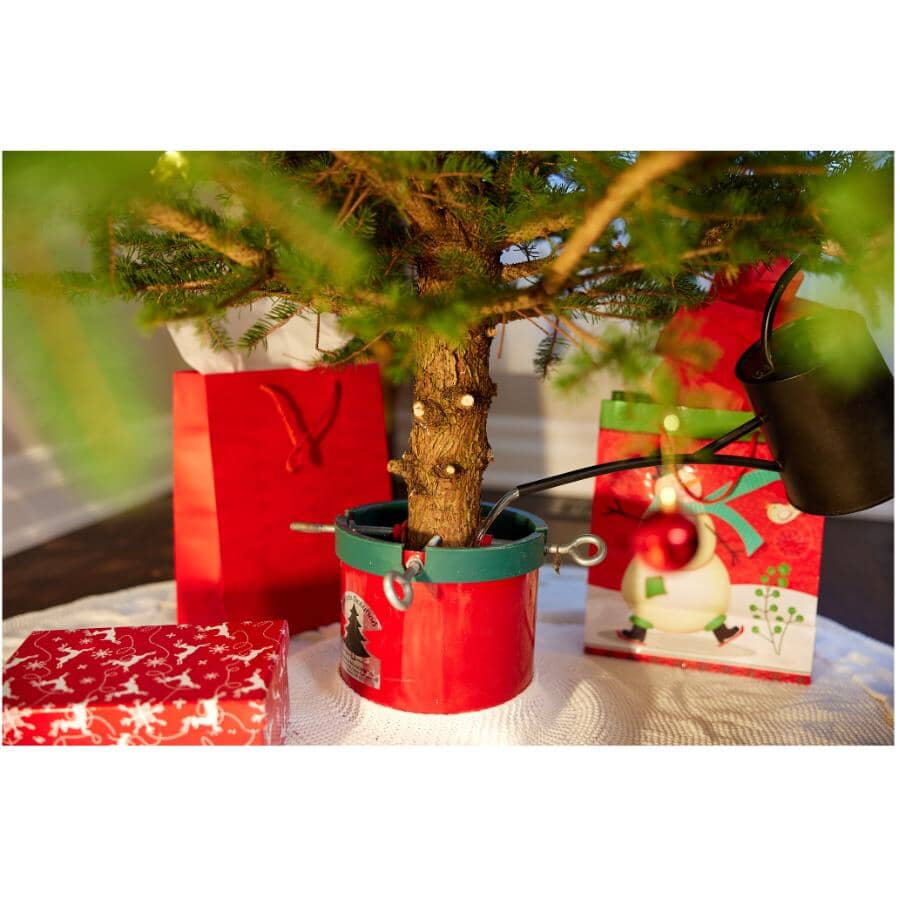 236mL Christmas Tree Fertilizer