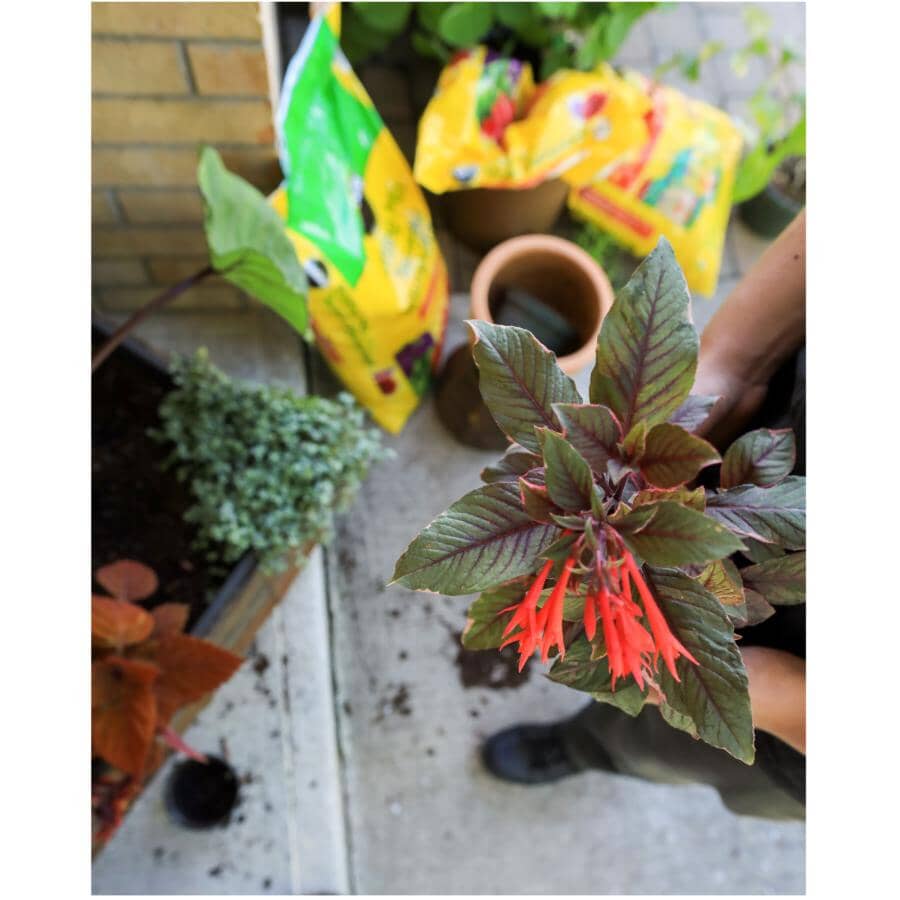 Potting Soil Mix - 50 L