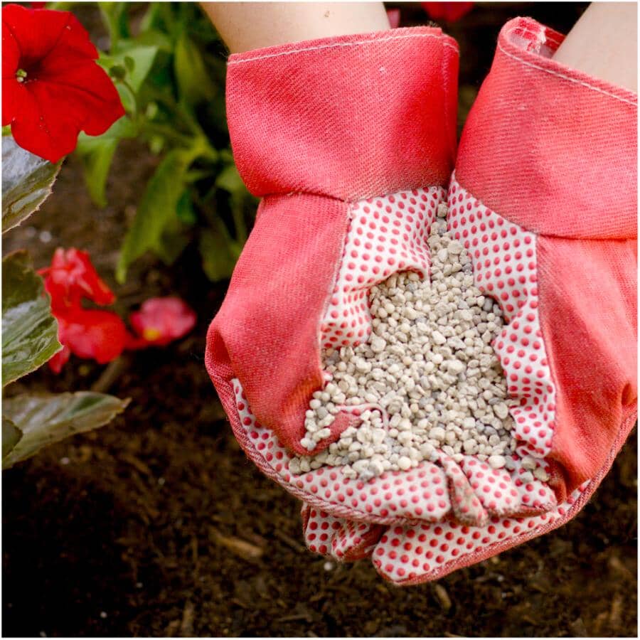 Shake 'n Feed All Purpose Plant Food - 453g