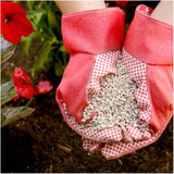 Shake 'n Feed All Purpose Plant Food - 453g