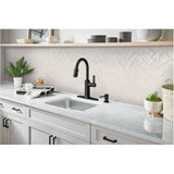 Durani Modern Single Handle Pull-Down Kitchen Faucet - Black
