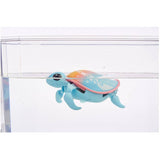 S10 Little Live Pets Lil Turtle - Assorted