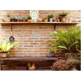 8" x 7" Decorative Shelf Bracket - Black