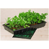 10" x 20" Heated Seedling Mat
