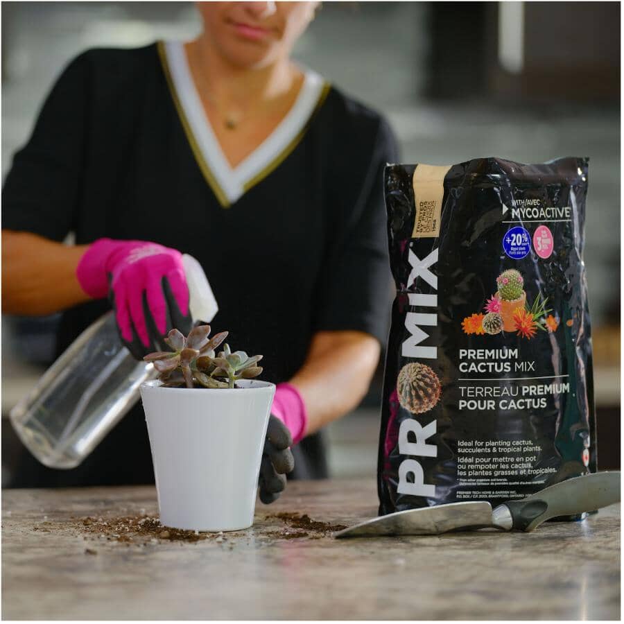 Premium Cactus Plant Mix - 5 L