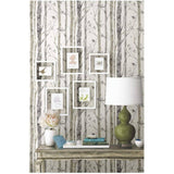 Birch Trees Peel and Stick Wallpaper - 20.5" x 16.5'