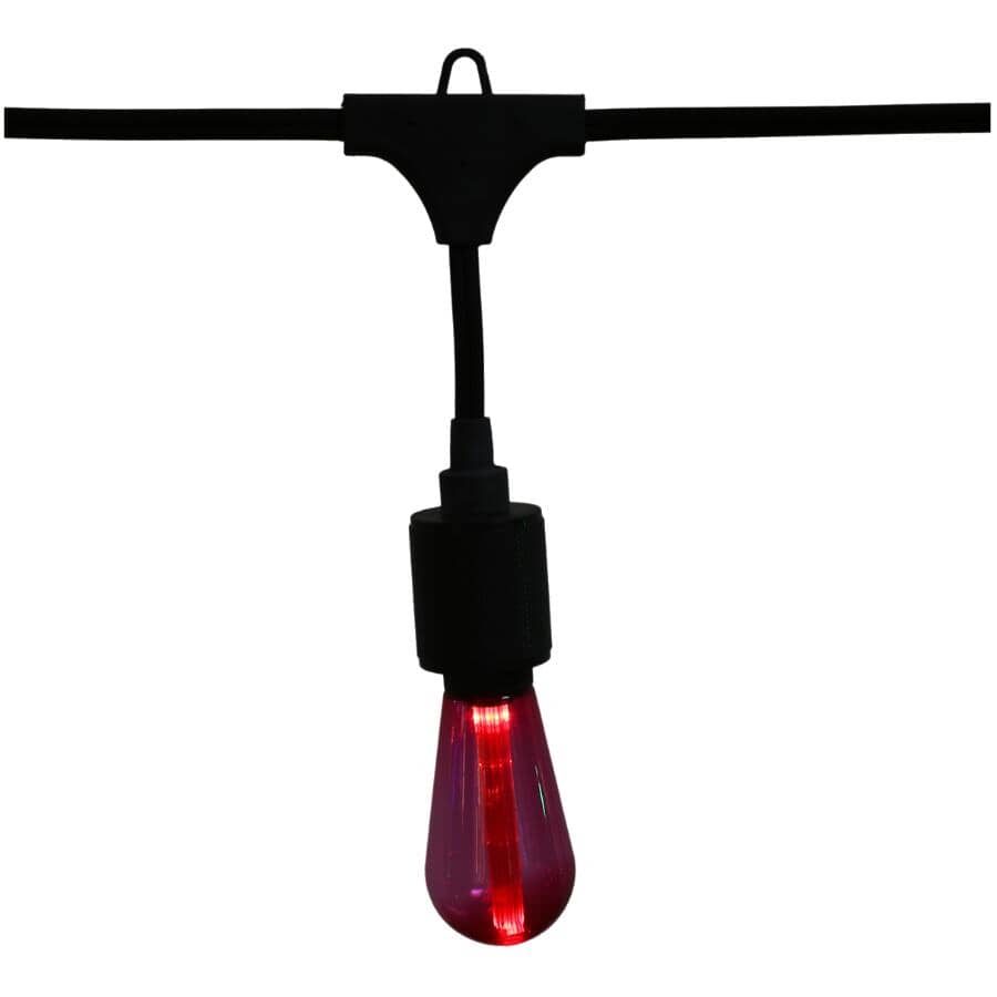 S10 Drop Socket Light Set with Black Wire - Multi-Colour, 10 Lights