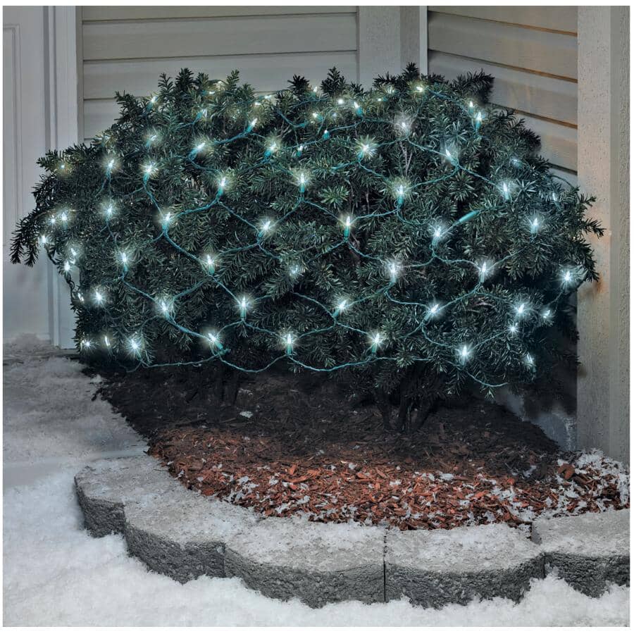 Twinkle Net Light Set - Pure White, 100 LEDs