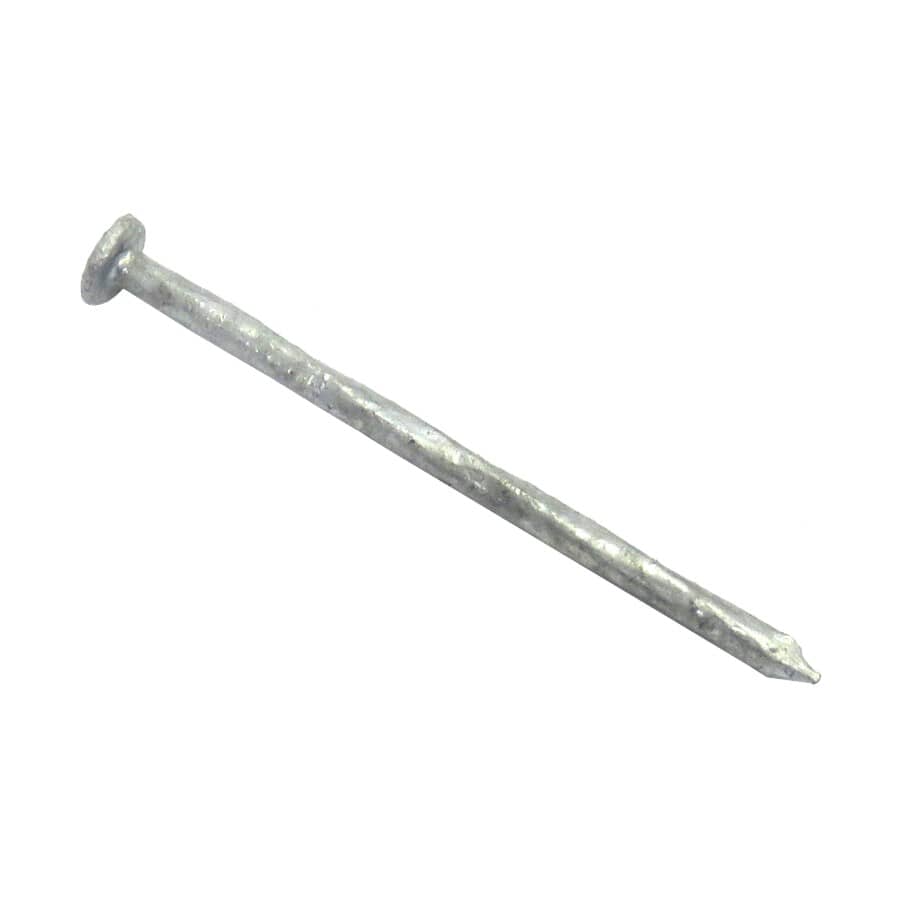 12" Hot Galvanized Ardox Spiral Nails - 50 lbs