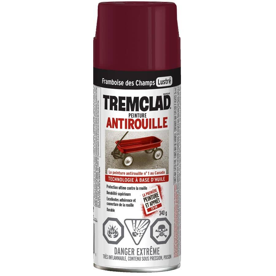 Rust Spray Paint - Gloss Wild Raspberry, 340 g