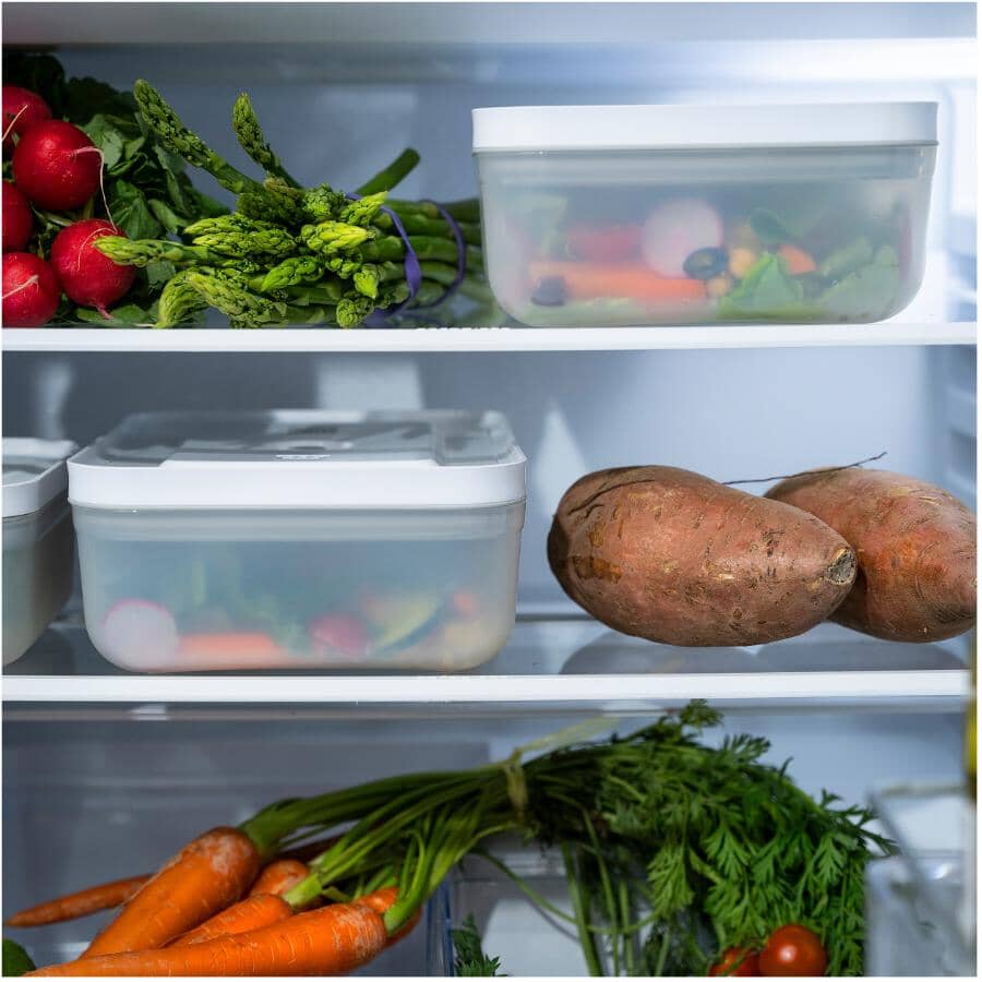 Fresh & Save Plastic Vacuum Large Fridge Container